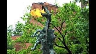 Wawel Dragon Smok Wawelski  Fire Breathing Dragon in Kraków [upl. by Anilet362]