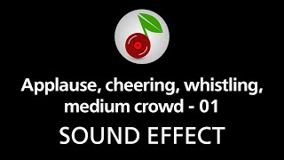 🎧 Applause cheering whistling medium crowd  01 SOUND EFFECT [upl. by Rehtse131]