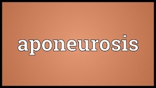 Aponeurosis Meaning [upl. by Aridan136]