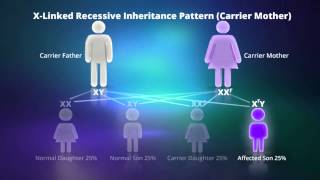 Inherited Genetic Disorders  Genetics  Biology  FuseSchool [upl. by Enimassej]