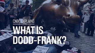 What is DoddFrank  CNBC Explains [upl. by Adlar]