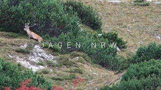 Hirschjagd in den Tauern  Rotwildbrunft am Großglockner  jagenNRW [upl. by Niels]