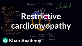 FEV1 FVC Ratio  Pulmonary Medicine  Obstructive VS Restrictive Lung Disease  Respiratory Physio [upl. by Adneral324]