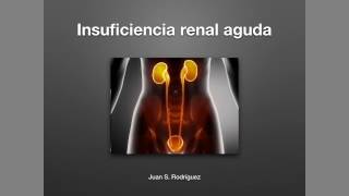 Insuficiencia renal aguda [upl. by Sihon]