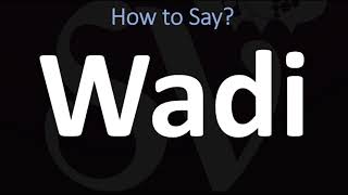 How to Pronounce Wadi CORRECTLY [upl. by Arebma]