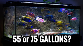 Which African Cichlids for a 55 and 75 Gallon Aquarium [upl. by Leelahk]