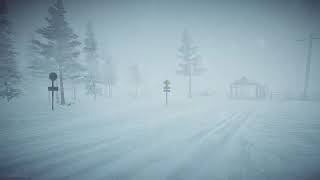 8 Hours Blizzard Sounds amp Howling wind  Winter Storm Sounds  Heavy Snowstorm [upl. by Nolan]