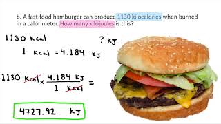 Converting between Kilocalories and Kilojoules [upl. by Dar]