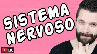 SISTEMA NERVOSO  FISIOLOGIA  Aula  Biologia com Samuel Cunha [upl. by Boot]