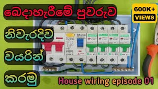 Distribution board wiring in SinhalaHouse wiring tutorial [upl. by Schug]