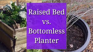 Bottomless Planters in Comparison to Raised Beds [upl. by Atirehs912]