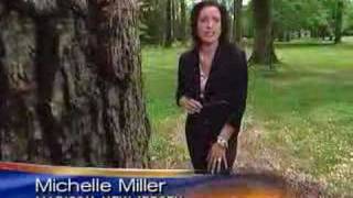 Gypsy Moths Decimate Forests CBS News [upl. by Anali]