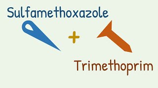 Sulfamethoxazole  Trimethoprim  Cotrimoxazole [upl. by Llerahs913]