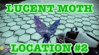 Destiny 2  LUCENT MOTH LOCATION 2  APOTHECARY [upl. by Arocal]