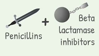 Penicillin with Beta lactamase inhibitors [upl. by Oznola84]