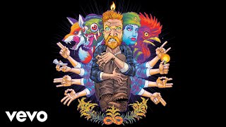 Tyler Childers  Peace of Mind Audio [upl. by Llehcim609]