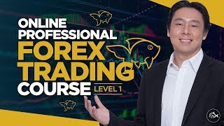 Introducing the Online Professional Forex Trading Course by Adam Khoo [upl. by Ias535]