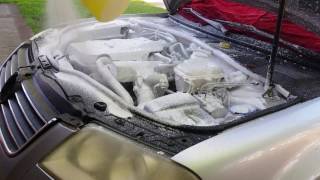 Engine Cleaning Foam Cannon  LAs Totally AWESOME cleaner review [upl. by Donnelly]