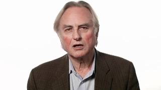 Richard Dawkins Faith  Big Think [upl. by Amilb]