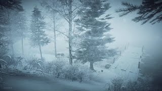 Intense Winter Storm at the Lake┇Howling Wind amp Blowing Snow ┇Sounds for Sleep Study amp Relaxation [upl. by Halil]