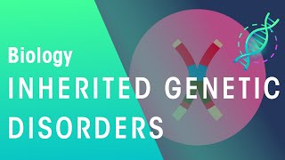 Gr 12 Life Sciences Genetics and Inheritance Part 2 Monohybrid Crosses [upl. by Naashom]