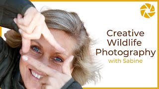 Creative Wildlife Photography Tips with Sabine Stols [upl. by Knight]