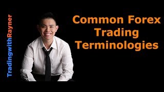 Forex Trading for Beginners 4 Common Forex Trading Terminologies by Rayner Teo [upl. by Auos]