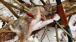 Rabbit Hunting Tips for Beginners [upl. by Paviour]