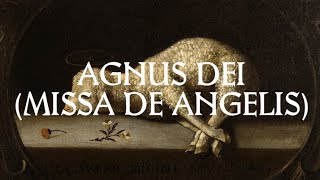 Agnus Dei  Catholic Latin Hymn [upl. by Toiboid131]