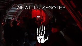 Oats Studios  What is Zygote [upl. by Nedda]