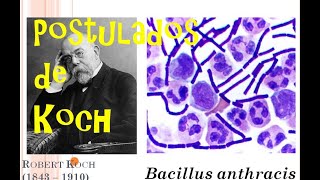 Postulados de Koch  Biomed Channel [upl. by Theresita]