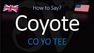 How to Pronounce Coyote  English American Pronunciation [upl. by Omlesna]