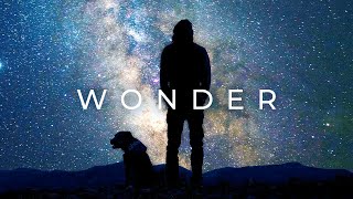 Alan Watts  Wonder [upl. by Anirhtak361]