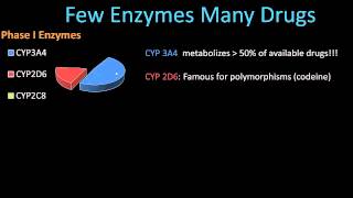 Phase II Metabolism  Pharmacology Lect 8 [upl. by Sheepshanks687]