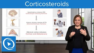 Corticosteroids – Pharmacology  Lecturio Nursing [upl. by Dawn949]