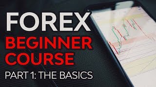 Forex Beginner Course Part 1  Forex Foundation [upl. by Markman]