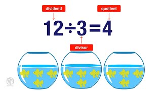 What is Division Grade 3 [upl. by Berga]