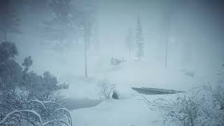 7 Hours Blizzard in the Forest  Heavy Snowstorm amp Howling wind Sounds [upl. by Yznil868]