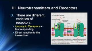 Neurotransmitters [upl. by Aydin139]