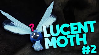 APOTHECARY LUCENT MOTH LOCATION  DESTINY 2 Guides [upl. by Quentin]