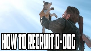 Metal Gear Solid 5  How and Where To Find DDog  Most Adorable Buddy [upl. by Joelly110]