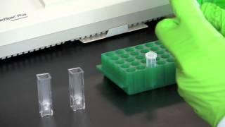 DNA Quantitation Using a Spectrophotometer [upl. by Adlog370]