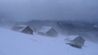 💨 Winter Storm Ambience with Icy Howling Wind Sounds for Sleeping Relaxing and Studying Background [upl. by Jemina]