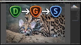 HOW amp WHEN to Use Topaz Plugins in Lightroom [upl. by Dowling36]