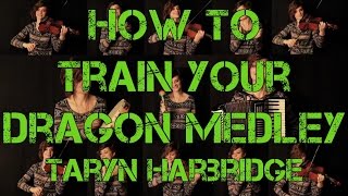 How to Train Your Dragon Medley  Taryn Harbridge [upl. by Lhadnek]