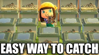 HOW TO Catch TARANTULA EASY in Animal Crossing New Horizons [upl. by Adorne540]