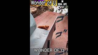 Wonder of U in Real Life [upl. by Bouton]