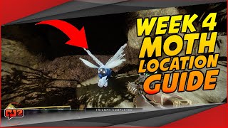 LUCENT MOTH WEEK 4 LOCATIONS  Destiny 2 Guides [upl. by Attenal]