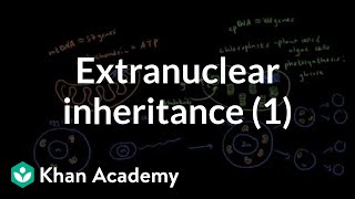 Extranuclear inheritance 1  Biomolecules  MCAT  Khan Academy [upl. by Bodnar]