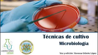 Técnicas de siembra Microbiología [upl. by Medea691]